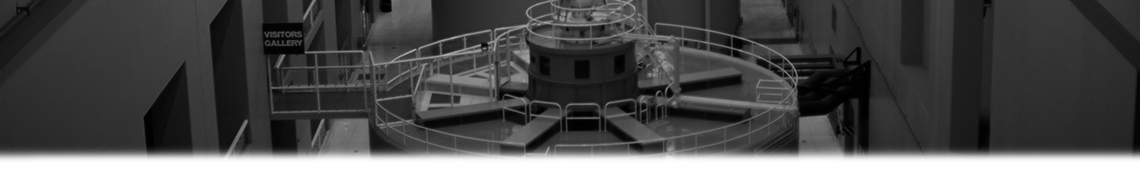 Kingsbury Hydro Bearing Services